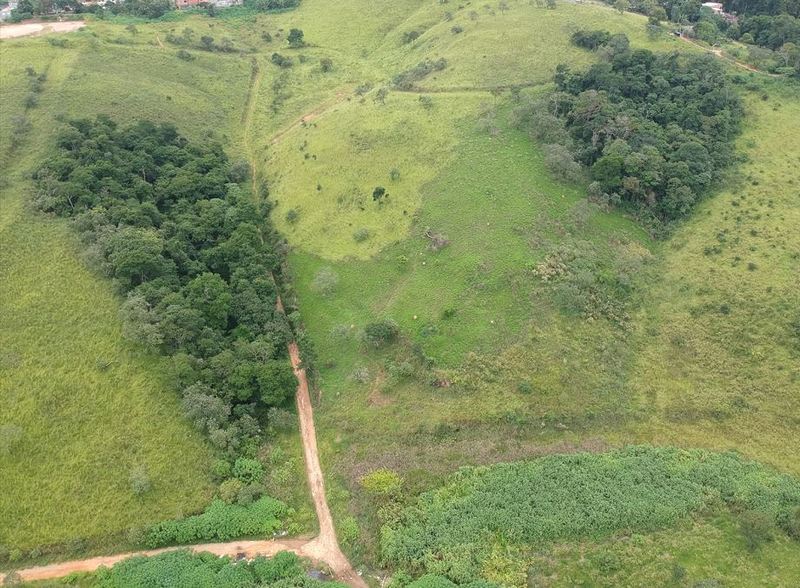 A Importância Da Consultoria Ambiental Em Campinas A Importância Da Consultoria Ambiental Em Campinas