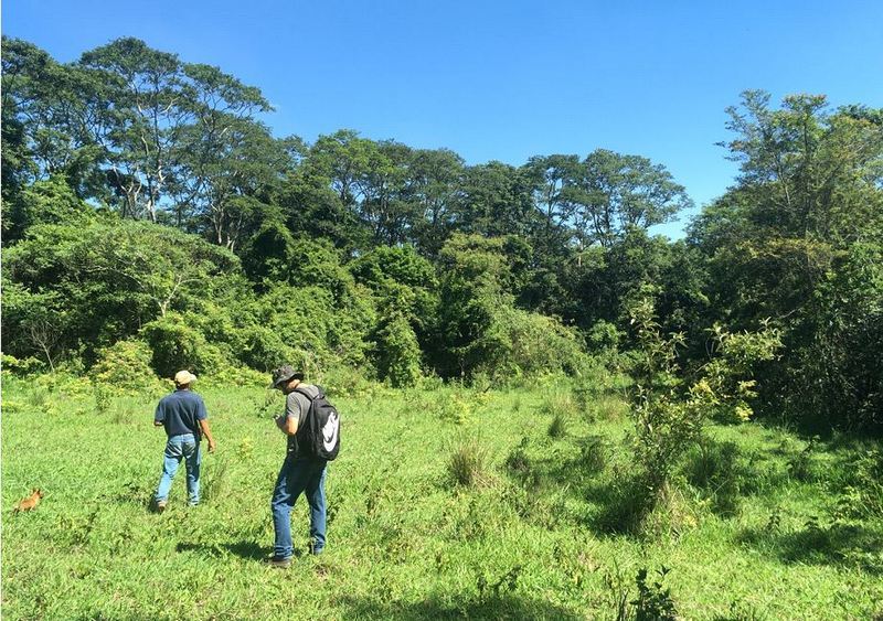 Tipologias De Licenças Ambientais Emitidas Pela Secretaria Do Clima, Meio Ambiente E Sustentabilidade - Seclimas De Campinas Tipologias De Licenças Ambientais Emitidas Pela Secretaria Do Clima, Meio Ambiente E Sustentabilidade - Seclimas De Campinas
