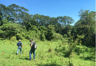 EMPRESA DE ASSESSORIA AMBIENTAL: SOLUÇÕES PARA A MANUTENÇÃO DE SUA LICENÇA AMBIENTAL E CUMPRIMENTO DE CONDICIONANTES EMPRESA DE ASSESSORIA AMBIENTAL: SOLUÇÕES PARA A MANUTENÇÃO DE SUA LICENÇA AMBIENTAL E CUMPRIMENTO DE CONDICIONANTES