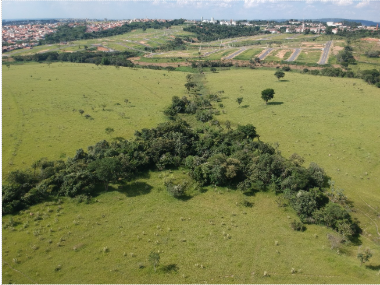 EMPRESA DE ASSESSORIA AMBIENTAL: SOLUÇÕES PARA A MANUTENÇÃO DE SUA LICENÇA AMBIENTAL E CUMPRIMENTO DE CONDICIONANTES EMPRESA DE ASSESSORIA AMBIENTAL: SOLUÇÕES PARA A MANUTENÇÃO DE SUA LICENÇA AMBIENTAL E CUMPRIMENTO DE CONDICIONANTES