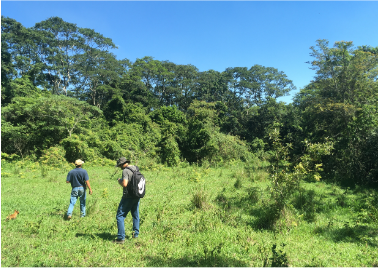 EMPRESA DE DIAGNÓSTICO AMBIENTAL: MAPA DE RESTRIÇÕES AMBIENTAIS EMPRESA DE DIAGNÓSTICO AMBIENTAL: MAPA DE RESTRIÇÕES AMBIENTAIS