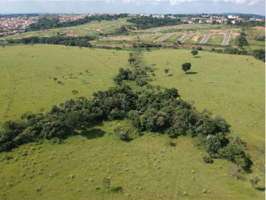 EMPRESA ESPECIALIZADA EM AUTORIZAÇÃO E LICENCIAMENTO AMBIENTAL: CONTE COM O GRUPO SOUL EMPRESA ESPECIALIZADA EM AUTORIZAÇÃO E LICENCIAMENTO AMBIENTAL: CONTE COM O GRUPO SOUL