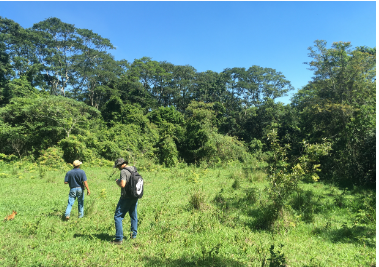 GRUPO SOUL: A EMPRESA QUE FAZ LICENCIAMENTO AMBIENTAL COM EXCELÊNCIA GRUPO SOUL: A EMPRESA QUE FAZ LICENCIAMENTO AMBIENTAL COM EXCELÊNCIA