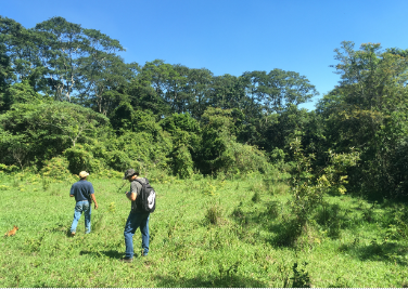 GRUPO SOUL: EMPRESA AMBIENTAL EM CAMPINAS GRUPO SOUL: EMPRESA AMBIENTAL EM CAMPINAS