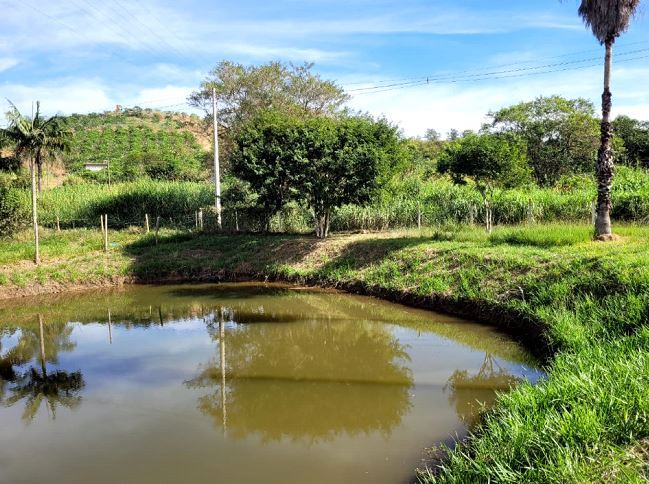 A Importância da Consultoria Ambiental em Campinas A Importância da Consultoria Ambiental em Campinas