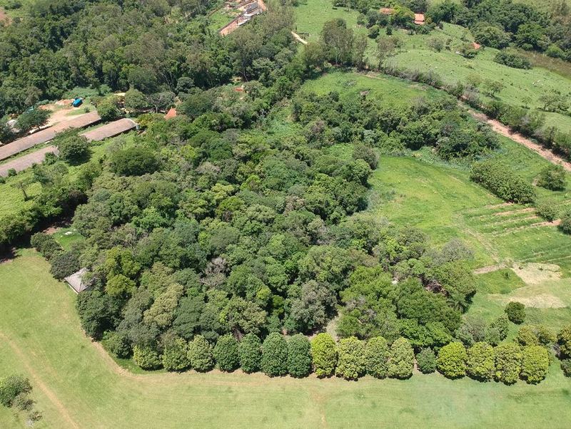 A Importância da Consultoria Ambiental em Campinas A Importância da Consultoria Ambiental em Campinas