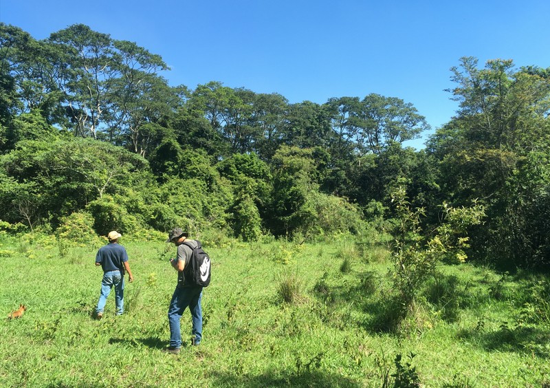 Tudo o Que Você Precisa Saber Sobre Autorização Ambiental Tudo o Que Você Precisa Saber Sobre Autorização Ambiental