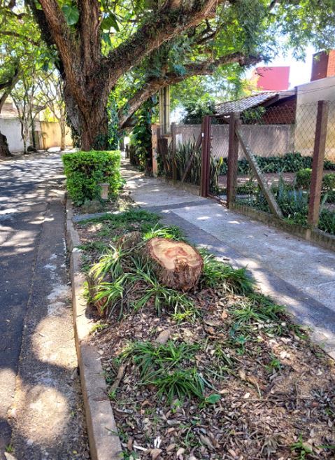 parceiros